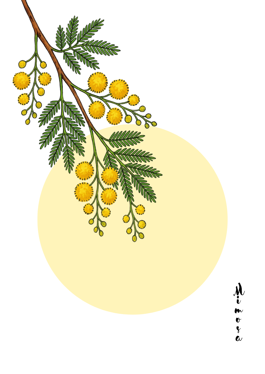 Branche devant le soleil